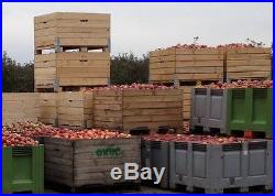 21 Apple Bulk Bins, Very Large Wooden Crate, Free Shipping