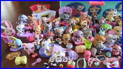 Littlest Pet Shop Mixed Lot Of Dogs Cats Horses Tackle Box & Accessories Nice